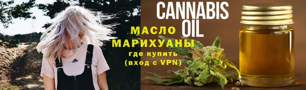 тгк Инсар