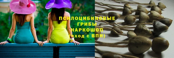 хмурый Инта