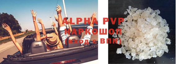 хмурый Инта