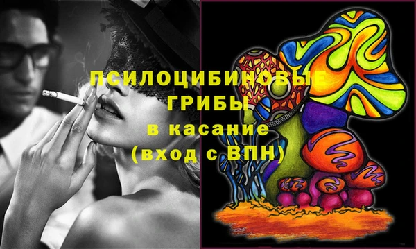 хмурый Инта