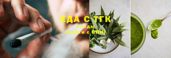 тгк Инсар
