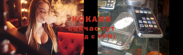 хмурый Инта