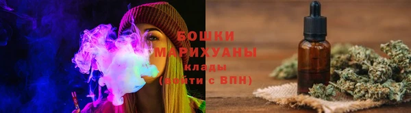 хмурый Инта