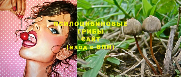 тгк Инсар