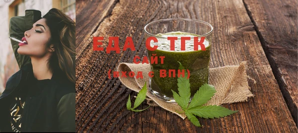 тгк Инсар