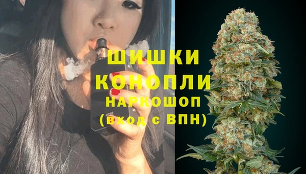 тгк Инсар