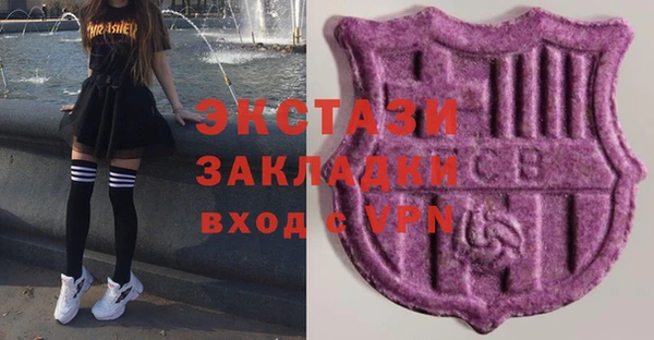 хмурый Инта