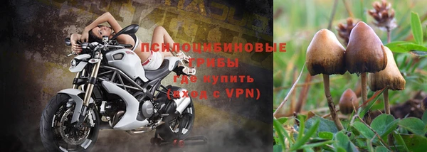 тгк Инсар