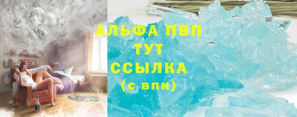 тгк Инсар