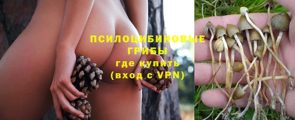 mdma Зеленокумск